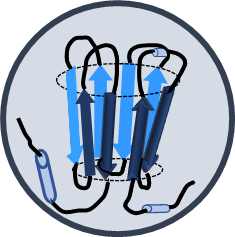 other-proteins